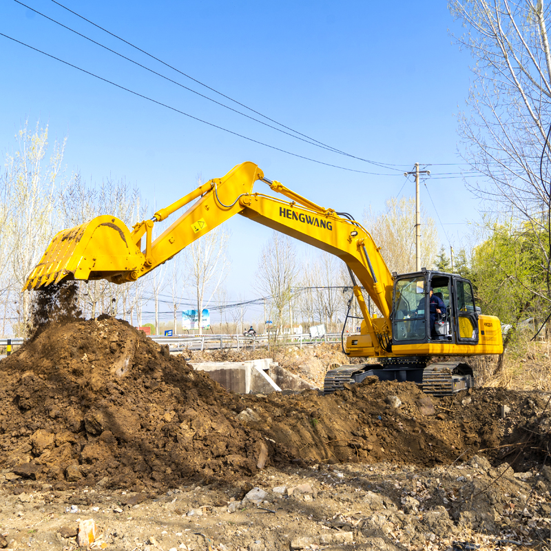 Excavadora de orugas grande de - Heavy Equipment Certification reseña y precio
